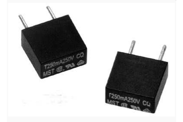 FUSE 1A 250V BOX TYPE TIME-LAG RADIAL THT