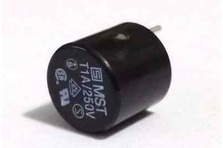 FUSE 1A 250V CAP TYPE RADIAL REOMAX THT