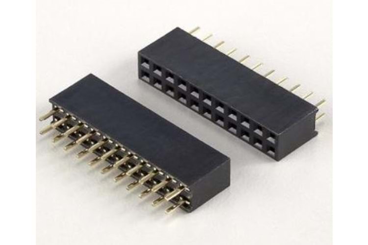 HEADER 12P (2x6) 2.54mm FEMALE THT