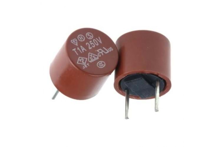FUSE T1A-250V, 1A 250V (T) Gecikmeli Kondansatör Tip Sigorta THT
