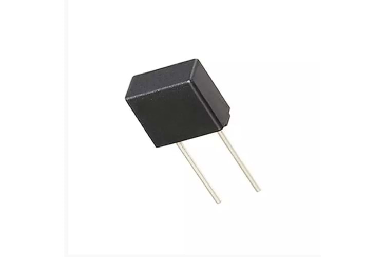 FUSE 2A 250V BOX TYPE TIME-LAG RADIAL THT