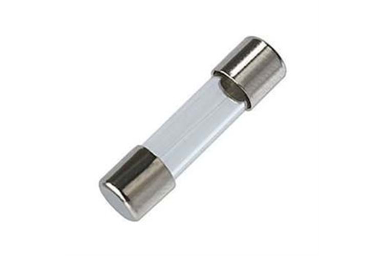 FUSE GLASS 5x20 250V 10A THT